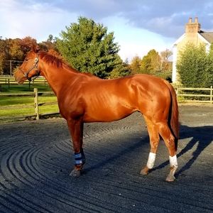 Meet your Posher, Christie